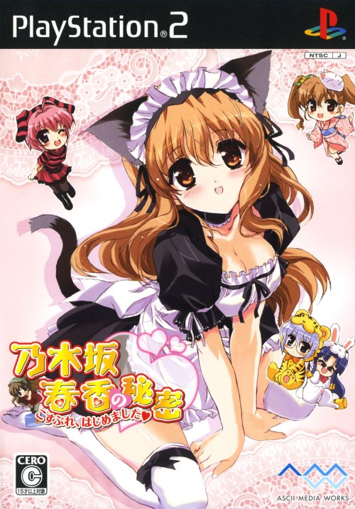 Nogizaka Sunkou no Himitsu Cosplay, Hajime Mashita PSX cover