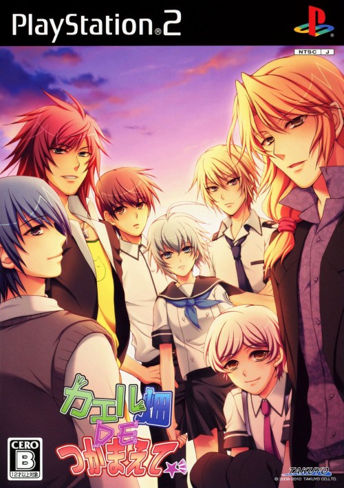 Kaeru Batake DE Tsukamaete PS2 cover