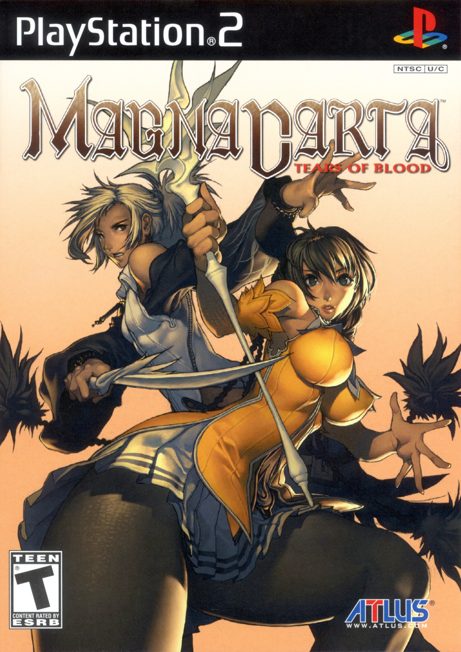 Magna Carta - Tears of Blood PS2 cover